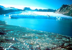 O echipa internationala de savanti au facut o descoperire despre climatul pamantului de acum 55 de milioane pe baza mostrelor din mare adunate in timpul unei expeditii la Polul Nord in 2004. 