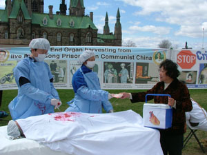 Practicantii Falun Gong reconstituie o scena a recoltarii de organe din China. Investigatorii canadieni David Kilgour si David Matas raporteaza ca organele vitale ale practicantilor Falun Gong inchisi in China sunt scoase involuntar in scopul comercializarii lor la preturi ridicate, in special pentru straini. 
