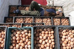 Un lucrator doarme pe lazile cu oua intr-o piata de pasari de curte si oua din Beijing, China. 