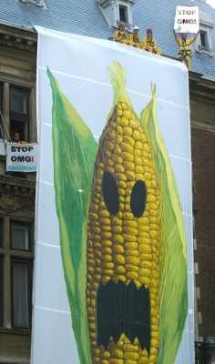 Activisti ai Greenpeace purtinid pancarde 'STOP GMO' in Bucuresti (DANIEL MIHAILESCU / AFP / Getty Images)