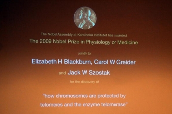 Elizabeth Blackburn, Carol Greider şi Jack Szostak sunt laureaţii Premiului Nobel pentru Medicină 2009. Au primit premiul pentru studiul lor asupra enzimei telomerază.