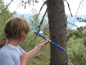 Cercetatoarea Helene Lovstrand Svarva colecteaza mostre de la copaci in Sogndal, Norvegia, pentru a determina perioada in care au trait si murit. (Terje Thun / NTNU)