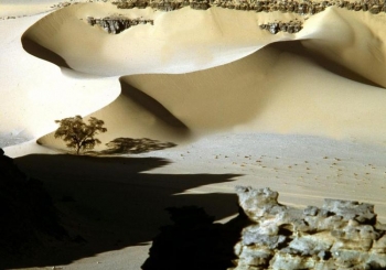 Dune de nisip in desertul egiptean. Ce fenomen ar putea fi capabil sa ridice temperatura desertului la cel putin 3300 grade Fahrenheit, transformandu-l in fasii de sticla solida galben-verde? 