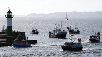 Pestii uleiosi, precum heringii prinsi de aceste ambarcatiuni de pescari, sunt o buna sursa de grasimi omega-3. (Jens Koehler / AFP / Getty Images)