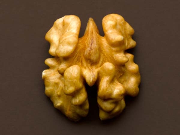 Nucile sunt in mod traditional considerate ca hrana pentru creier, care sugereaz si forma lor amuzanta