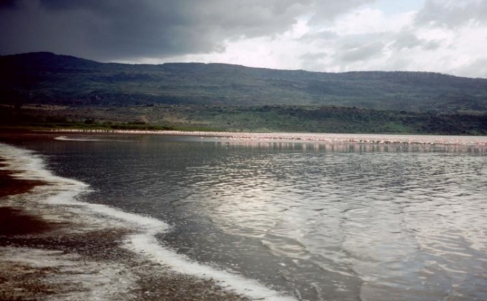 Lacul Elmenteita, Kenya. Cam asa ar fi trebuit sa arate Lacul Victoria in varianta micsorata