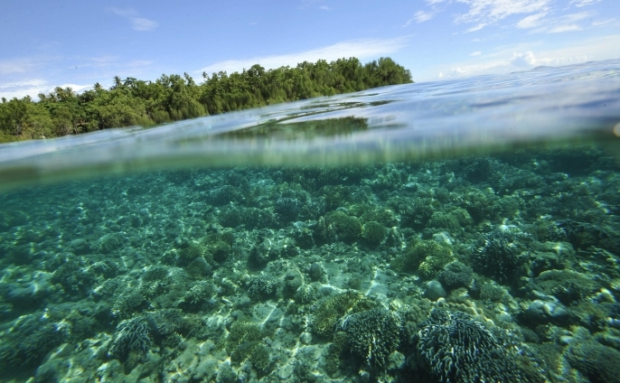 Mangrove si recife de corali in parcul maritim national Insula Bunaken, in nordul Sulawesi, 14 mai 2009.