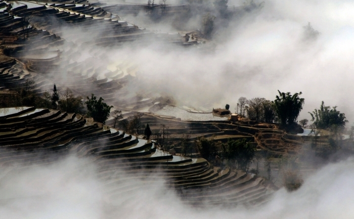 Terase etajate acoperite de ceaţă în ţinutul Yunnan, sud-vestul Chinei.
