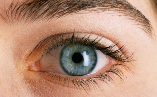 Dieta şi afecţiunile oculare legate de vârstă – Despre ochi, Alimentația afectează vederea
