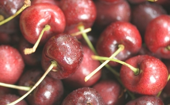 (Cat Rooney / The Epoch Times)