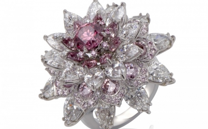 Inelul Shalimar, creat de designerul indian Nirav Modi in decurs de 1 an, este estimat la 2 milioane USD si are un diamant roz de 1,25, incojurat de diamante mici, albe si roz