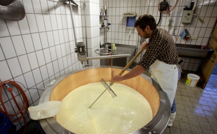 Fabricarea branzei in Germania, Alpe Oberberg. Studii recente arata ca populatia consumatoare de grasimi din lapte, are sanse mai mici de atac de cord (Miguel Villagran / Getty Images)