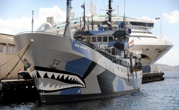 Nava companiei Sea Shepherd, "Bob Barker", este ancorată în Hobart, în timp ce se pregăteşte să se confrunte cu flota japoneză de vânătoare de balene în Oceanul de Sud, pe 13 decembrie 2011.