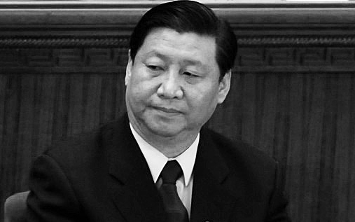 Xi Jinping, politicianul comunist ales să conducă Partidul Comunist, la o conferinţă din 2008