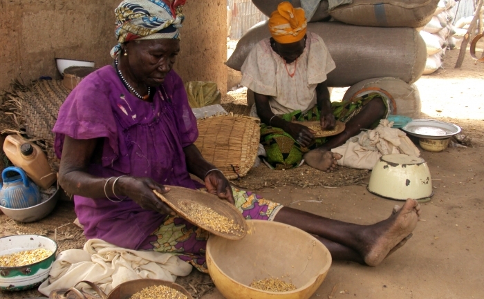Femei din Nigeria cern grânele într-o piaţă din Maiadua, un oraş nordic din Nigeria. (AMINU ABUBAKAR / AFP / Getty Images)