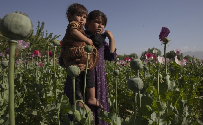Culturi de mac în Fayzabad, provincia Badakhshan, Afghanistan (Paula Bronstein / Getty Images)