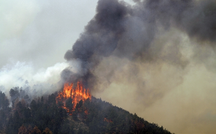 Incendiu de vegetaţie în Colorado, SUA, 11 iunie 2012. (Marc Piscotty / Getty Images)