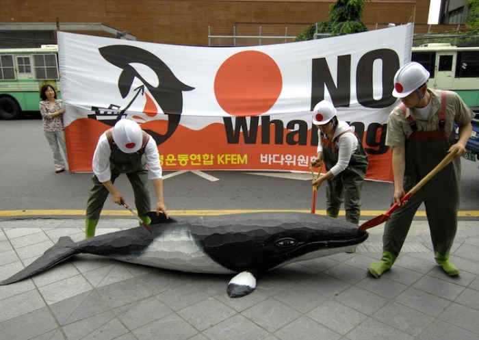 Militanţii pentru apărarea mediului din Coreea de Sud protestează împotriva vânătorii de balene, Seul, arhivă