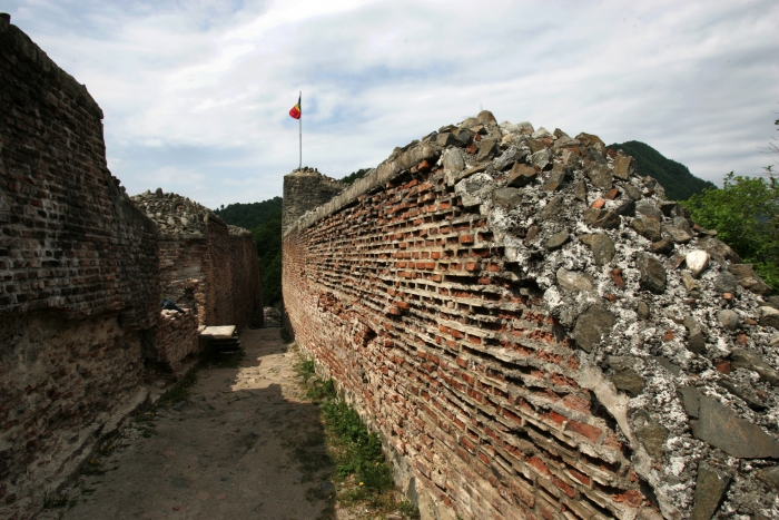 Cetatea Poenari din judeţul Argeş