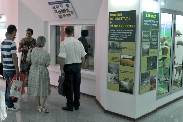 Muzeul de Ştiinţe Naturale din Craiova, expoziţie de paleontologie, insecte, păsări şi animale din diverse areale.