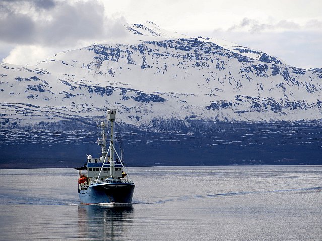 Vasul Lance al Universităţii Tromso (Saul Loeb / AFP / GettyImages)