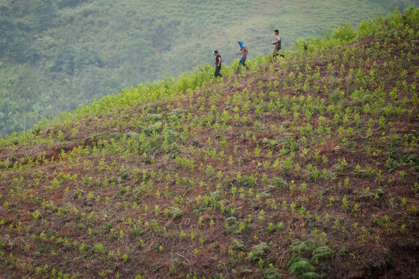 Fermieri columbieni, iunie 2012