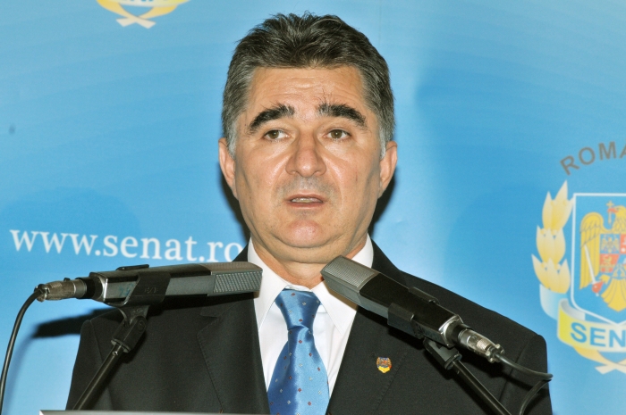 Ioan Ghişe ,conferinţă de presă la Senatul României