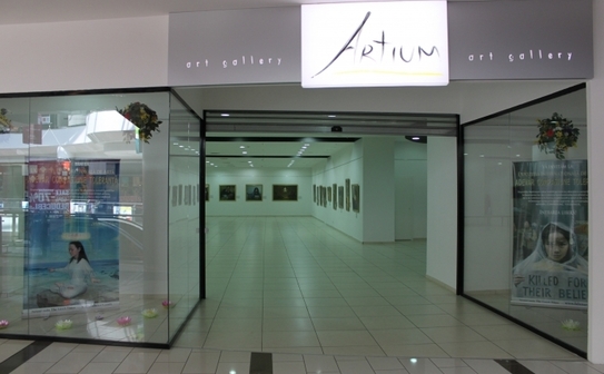 Expoziţia Internaţională de Artă ”Adevăr, Compasiune, Toleranţă”, Centrul Comercial - Shopping MallDova (The Epoch Times)