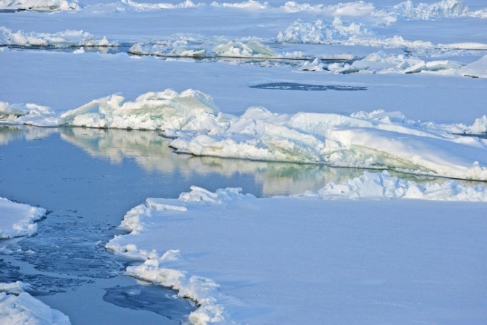 Gheaţă plutind pe Oceanul Arctic