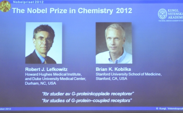 Premiul Nobel pentru chimie a fost acordat anul acesta profesorului Robert Lefkowitz şi profesorului Brian Kobilka. (JONATHAN NACKSTRAND / AFP / GettyImages)