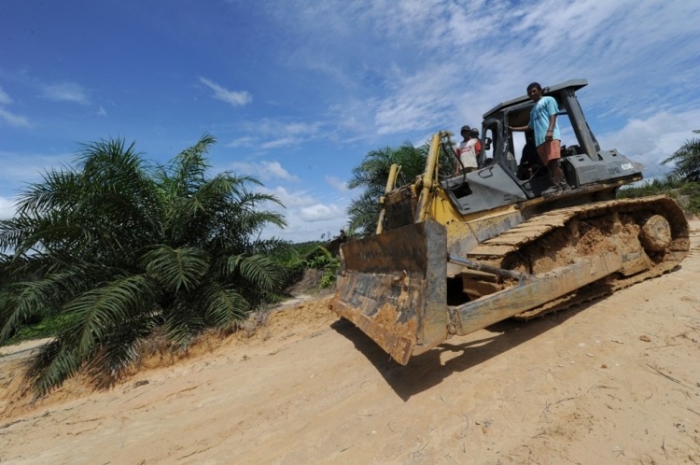 Un muncitor conduce un buldozer în apropierea unei plantaţii de palmieri ridicată recent pe suprafaţa defrişată a unei păduri tropicale, 5 iunie 2012, în Borneo, Indonezia.