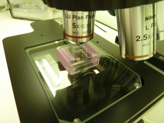 Microscop (University of Manchester)