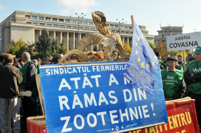 Protest agricultori în Piaţa Victoriei, la Guvern. (Epoch Times România)