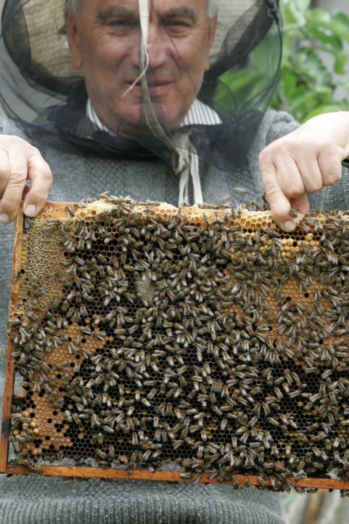 Ioan Şoldu, apicultor