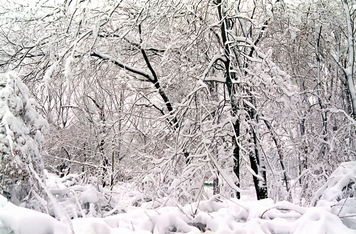 Iarna în Bucureşti
