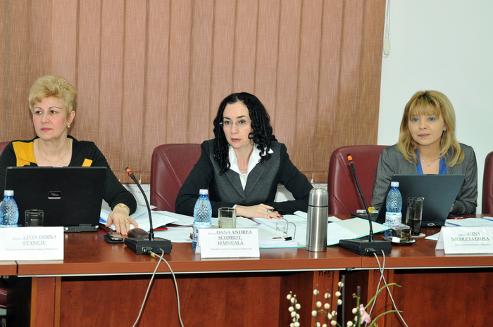 Plenul reunit la Consiliului Suprem al Magistraturii (CSM). În imagine, Livia Doina Stanciu, Oana Andrea Schmidt-Hăineală şi Livia Nicoleta Ghica