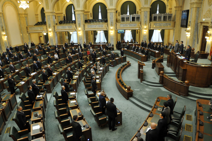 Parlament, Senatul României, dezbateri în plen