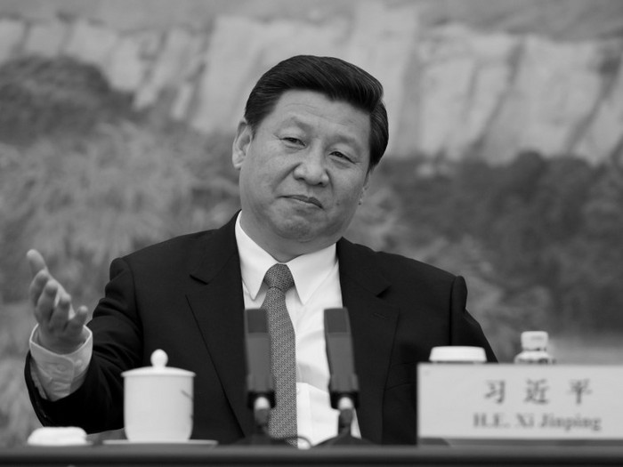 La o întâlnire recentă a Comisiei Centrale pentru Inspecţie Disciplinară, liderul Partidului Comunist Chinez Xi Jinping a subliniat că eforturile anticorupţie trebuie să vizeze atât "muştele" cât şi "tigrii", referindu-se la oficialii de nivel mic şi mare. Totuşi, se pare că acesta nu se gândeşte la o reformă politică. (Ed Jones-Pool / Getty images)