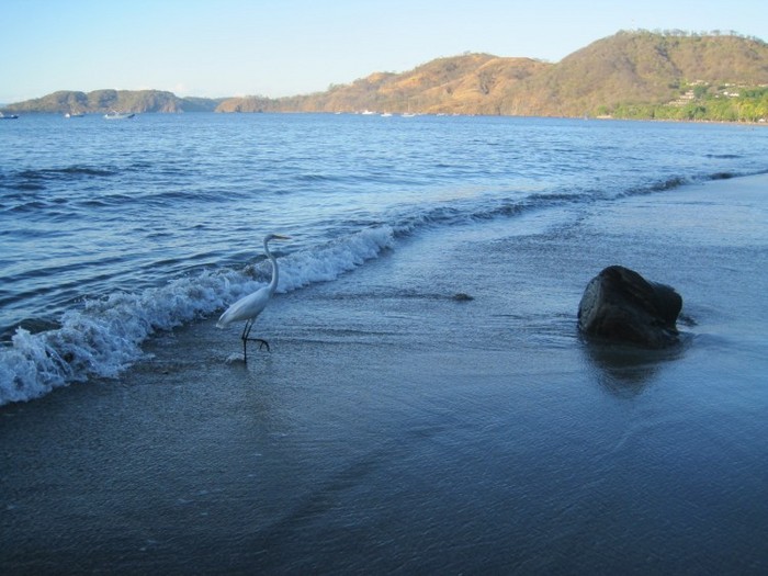 Plaja Hermosa, Costa Rica