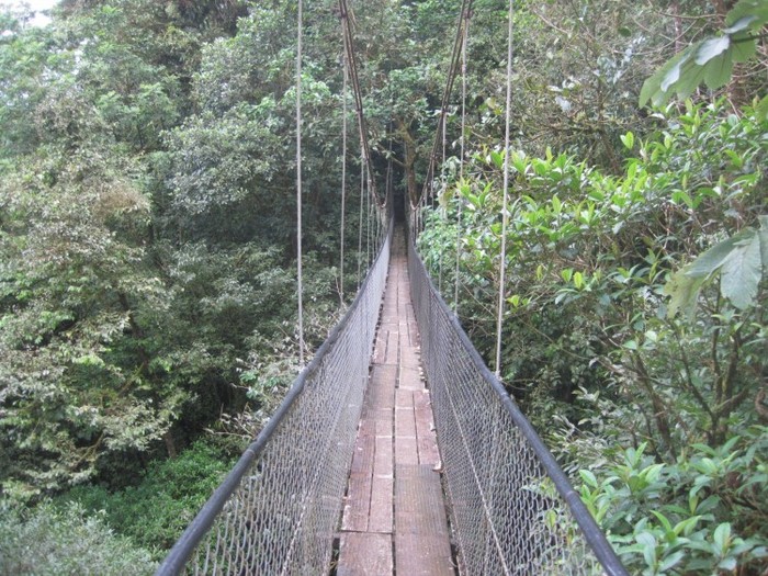 Parcul Naţional Tenorio, Costa Rica