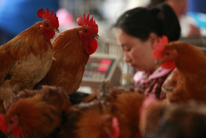 
Un stand de pui din provincia Anhui, la 2 aprilie. O nouă formă mortală a gripei aviare s-ar putea să fi suferit mutaţii de la porcii din China.
