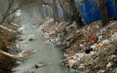 Gunoaie strânse pe malul unui canal poluat de la marginea Beijing-ului, 16 martie 2012. (Mark Ralston/AFP/Getty Images)