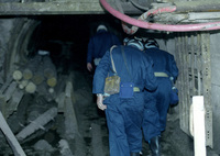 Mineri în subteran. (Epoch Times România)