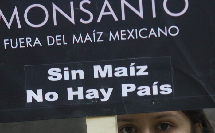 O activistă Greenpeace demonstrează împotriva Monsanto în Mexico