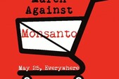 În 25 mai 2013, activişti din 400 de oraşe din jurul lumii se vor unit pentru Marşul Împotriva Monsanto, estimându-se o prezenţă de peste 2 milioane de participanţi. (Logo by Emilie Rensink)