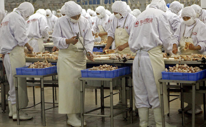 Muncitori procesând carnea de pui, Beijing, 12 noiembrie 2007
