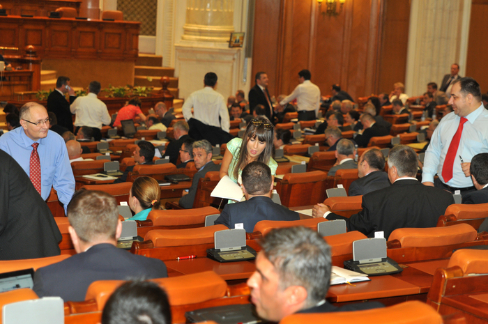 Parlament, şedinţă şi vot electronic la Camera Deputaţilor (Epoch Times România)