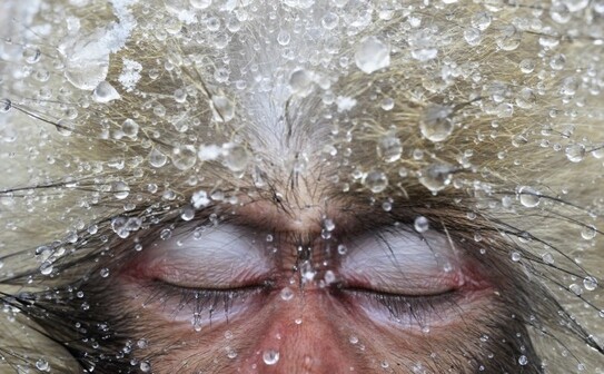 Fotografia "Relaxare" a fotografului olandez Jasper Doest. (Jordi Chias Pujo)