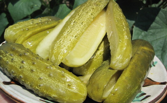 Castraveti murati la soare (Maria Matyiku / Epoch Times)