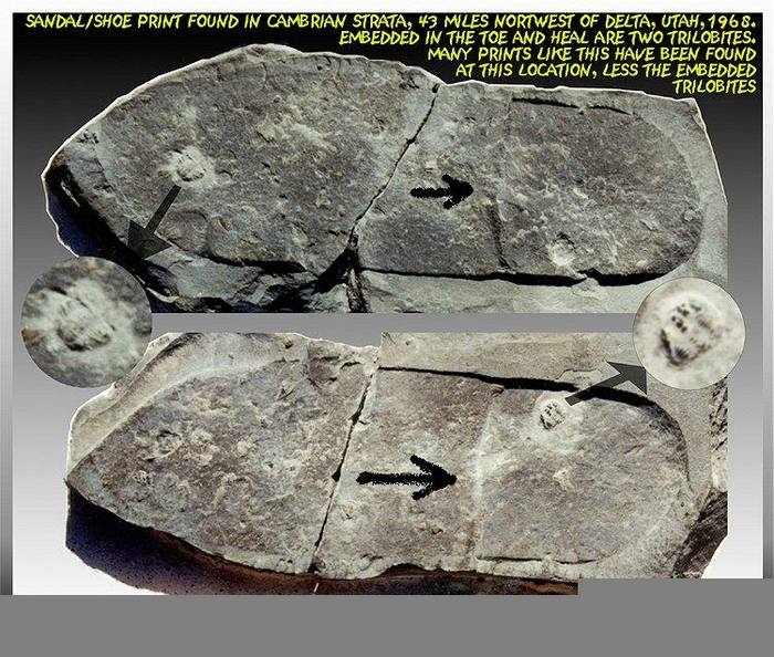 Urma făcută de ceea ce pare a fi o  pereche de sandale a fost găsită lângă Delta, Utah, într-un depozit şisturi estimat a fi vechi de 300 milioane - 600 milioane de ani.